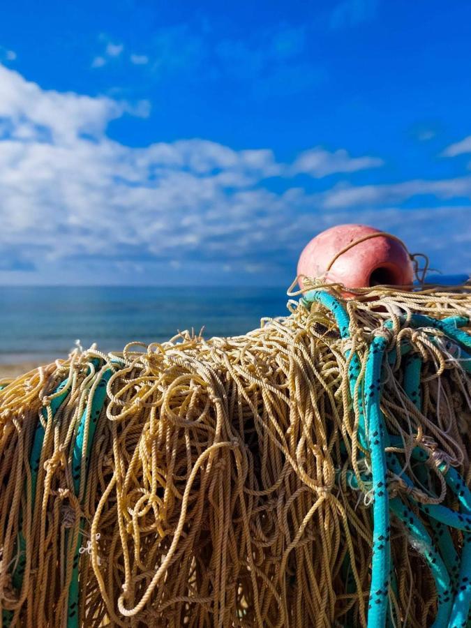 Appartamento La Coffa Agnone Cilento Ngoại thất bức ảnh