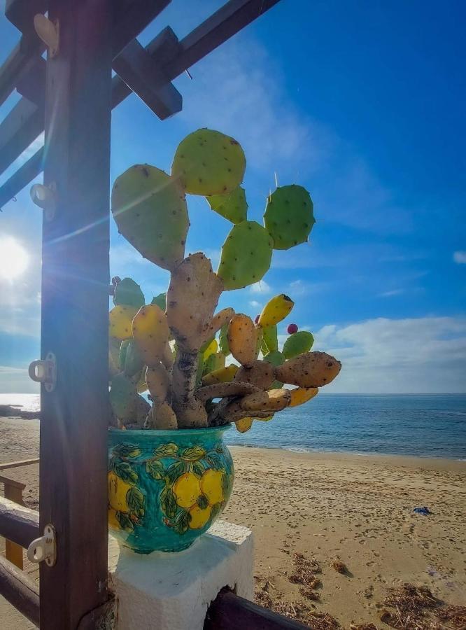 Appartamento La Coffa Agnone Cilento Ngoại thất bức ảnh