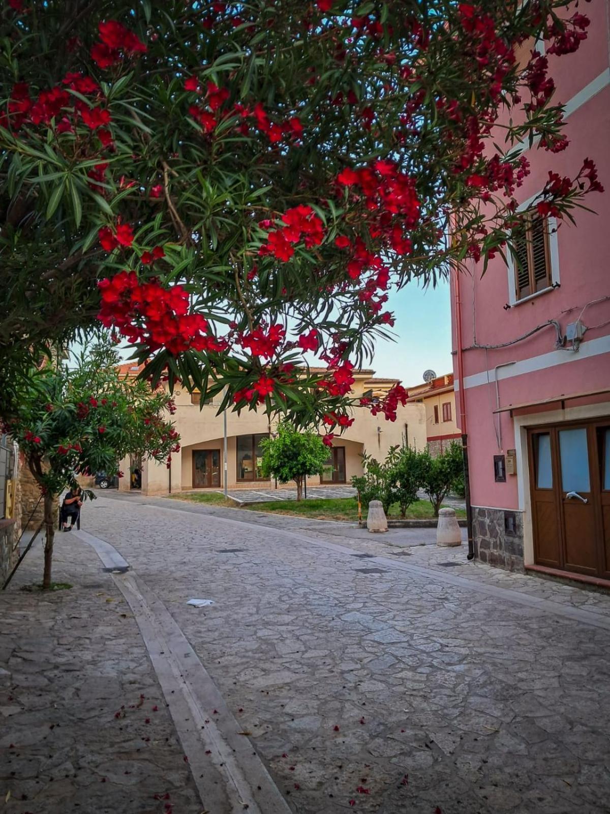 Appartamento La Coffa Agnone Cilento Ngoại thất bức ảnh